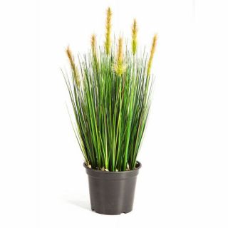 Kattenstaartgras-met-groene-pluimen-60cm-kunstplant-huis-planten