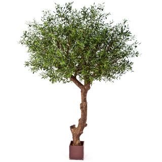 Natuurlijke-Olijfboom-in-poly-pot-270cm-kunstboom