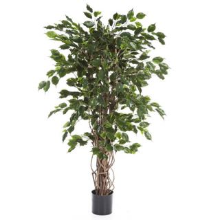 Ficus-Liana-Exotica-180cm-kunstplant