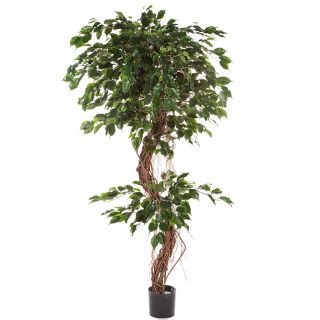 Ficus-Exotica-met-gedraaide-stammen-180cm-kunstboom