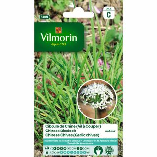 vilmorin-chinese-bieslook-kobolt-tuin-tuinonderhoud-zaden-plant