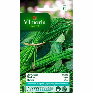 vilmorin-fijne-bieslook-tuin-tuinonderhoud-zaden-plant