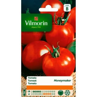Vilmorin-tomaat-Moneymaker