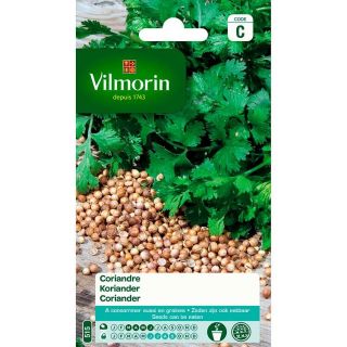 vilmorin-koriander-tuin-tuinonderhoud-zaden-plant