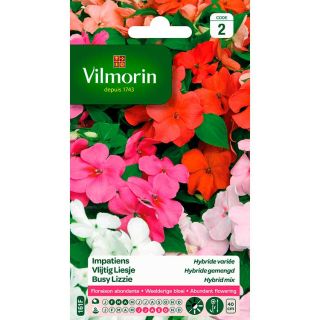 vilmorin-bloemenzaad-vlijtig-liesje-hybride-gemengd-tuinonderhoud-zaden