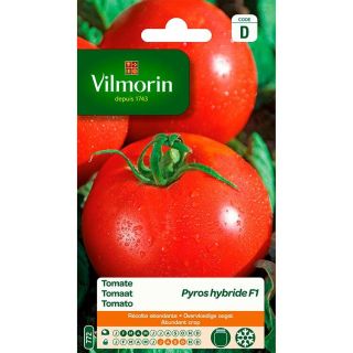 Vilmorin-tomaten-pyros-hybride-F1
