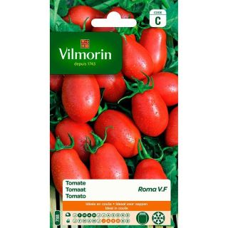 Vilmorin-roma-tomaten-VF