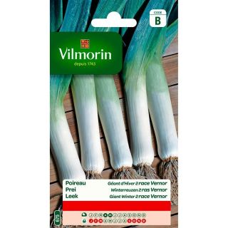 Vilmorin-prei-winterreuzen-2-Vernor