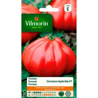 Vilmorin-tomaten-zaad-Corazon-hybride-F1