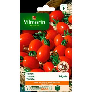 Vilmorin-tomaat-Aligote