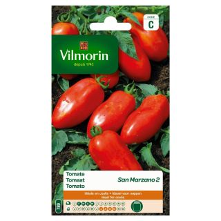 Vilmorin-San-Marzano-tomaten