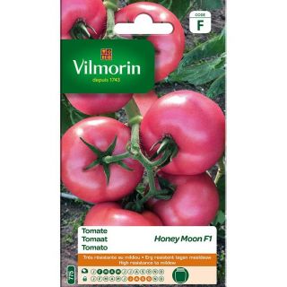 Vilmorin-honey-moon-tomaten