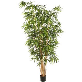 Bamboe-met-grote-bladeren-300cm-kunstboom