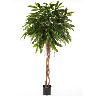Fat-Longifolia-Umbrella-180cm-kunstboom 
