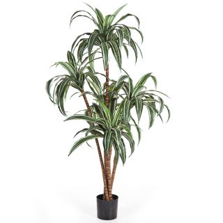 Dracaena-Plant-120cm-kunstplant