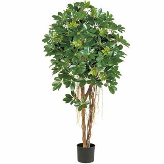 Natuurlijke-Schefflera-Umbrella-140cm-kunstboom