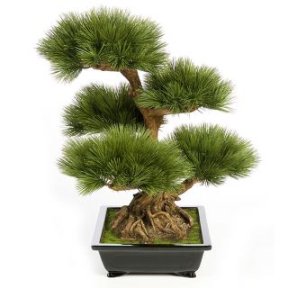 Pinus-Bonsai-60cm-kunstboom