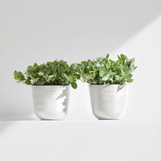 ecopots-oslo-pure-white-binnen-buiten-ronde-bloempot-plant-verschillende-maten