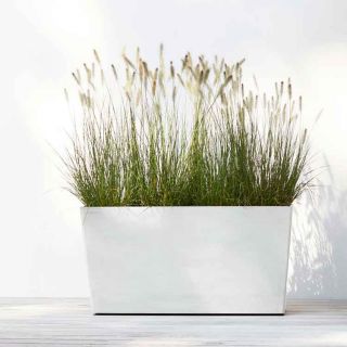 ecopots-bloembak-tuin-met siergras-plant-pure-white-100