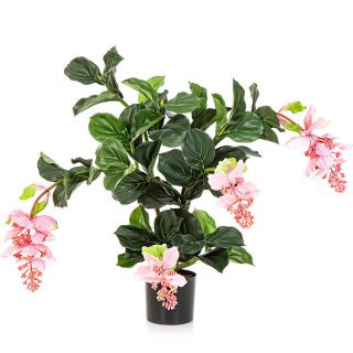 Medinilla-Plant-78cm-Set-van-4-kunstplanten