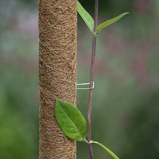 Kokosplantstokkram-30mm-10x-H3x1,7cm-Ø1,1mm