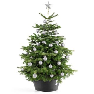 ecopots-kerstboomstandaard-met-versierde-kerstboom-kleur-donkergrijs