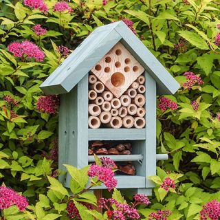 insectenhotel-bijen-natuur-boom-nest-insecten