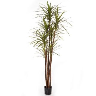 Dracaena-Magenta-150cm-kunstboom