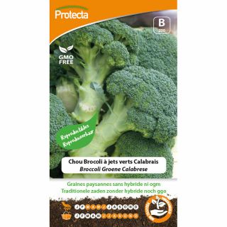 broccoli-zaden-groene-calabrese-moestuinzaad-groente-zaad-ecostyle-protecta