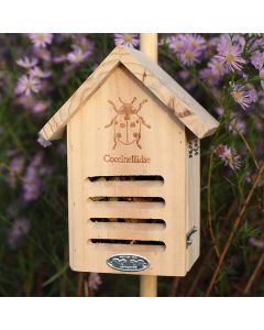 Insecten-hotel-lieveheersbeestjes-huis-tuin-dieren