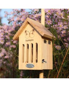 Vlinderkast-met-ingebrande-tekening-insect-huis