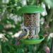 Voedersilo-vogel-eten-tuin-groene-silo-voer