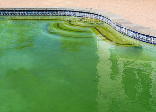 Groen zwembadwater? 4 tips!